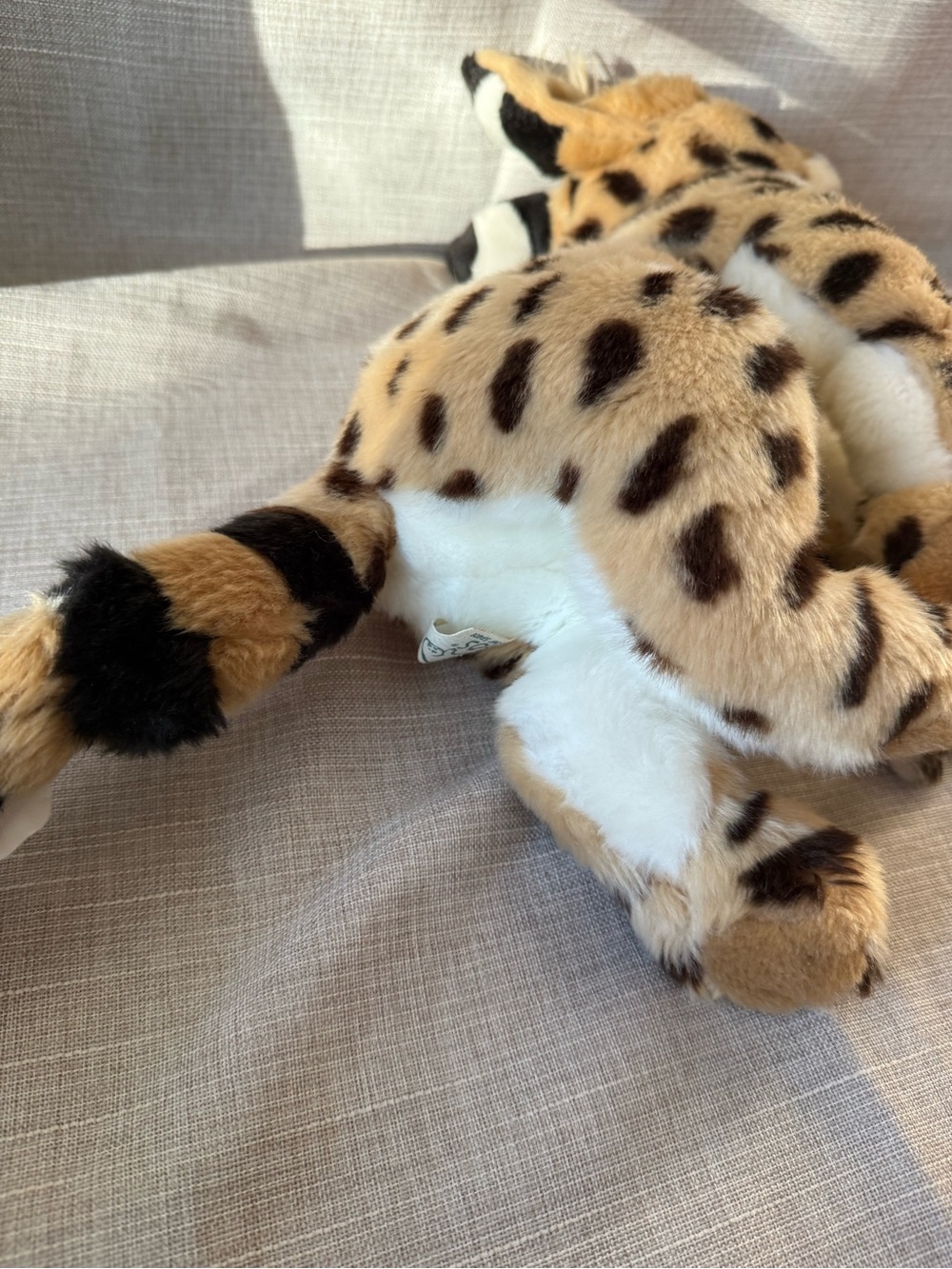 2017 SOS Save Our Space Serval Plush Rare Discounted – Collectible Big Cat - Picture 4 of 16